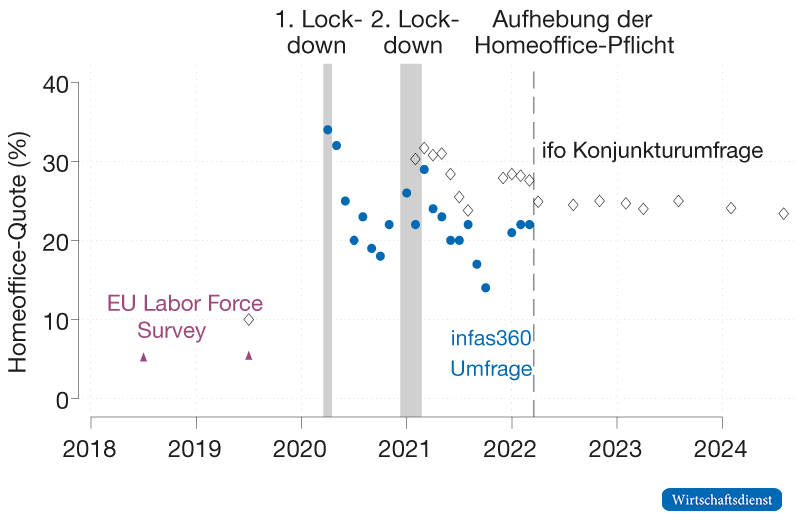 Beschäftigte im Homeoffice